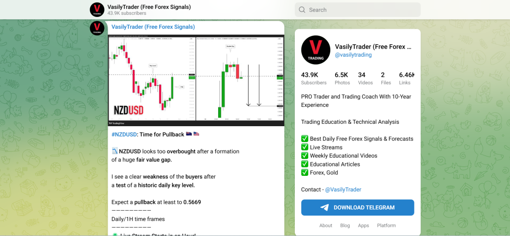 VasilyTrader Forex Signals Telegram VasilyTrader Forex Signals Telegram