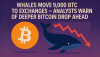 Whales Move 9,000 BTC to Exchanges — Analysts Warn of Deeper Bitcoin Drop Ahead