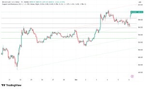 Bitcoin Cash Surges 38% to Claim Crown as 2025's Top-Performing Layer-1 Network