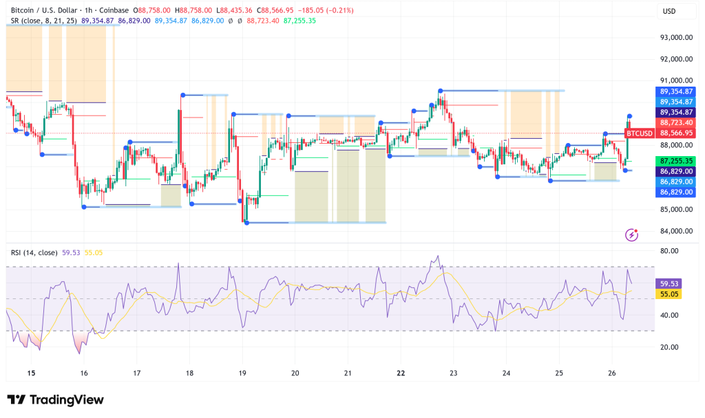 Bitcoin Reclaims $89,000 Amidst 'Extreme Fear' as Strategy CEO Declares Fundamentals 'Couldn't Be Better'