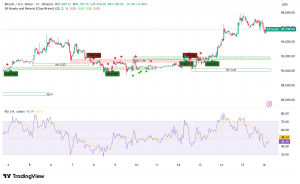 Bitcoin Consolidates Above $95,000 as Whale Accumulation Signals Potential Rally to $100,000