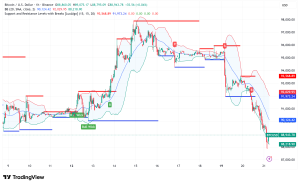 Bitcoin New Whale Distribution and 