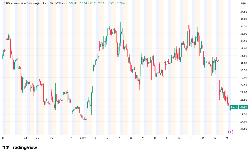 BitMine (BMNR) Secures 