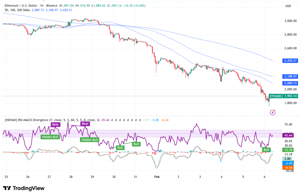 Ethereum Plunges Below $2,000 as Whale Accumulation Battles Mid-Tier Capitulation