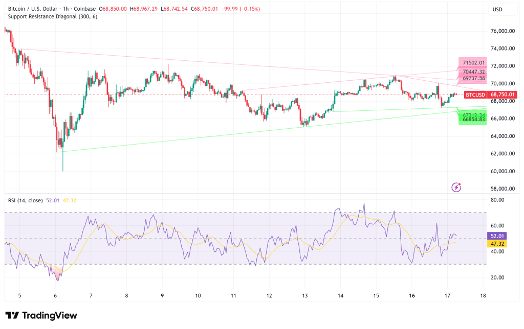 Bitcoin’s Accumulation Wave Confronts Bearish Sentiment: Why $80K is the Next Logical Target