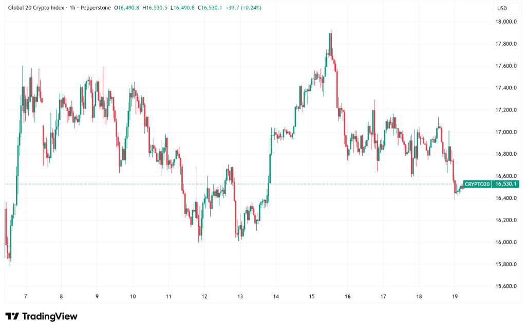Daily Crypto Signals: Bitcoin Bottom Signal Echoes 2018, Solana Eyes $50 Support Amid Bearish Pressure