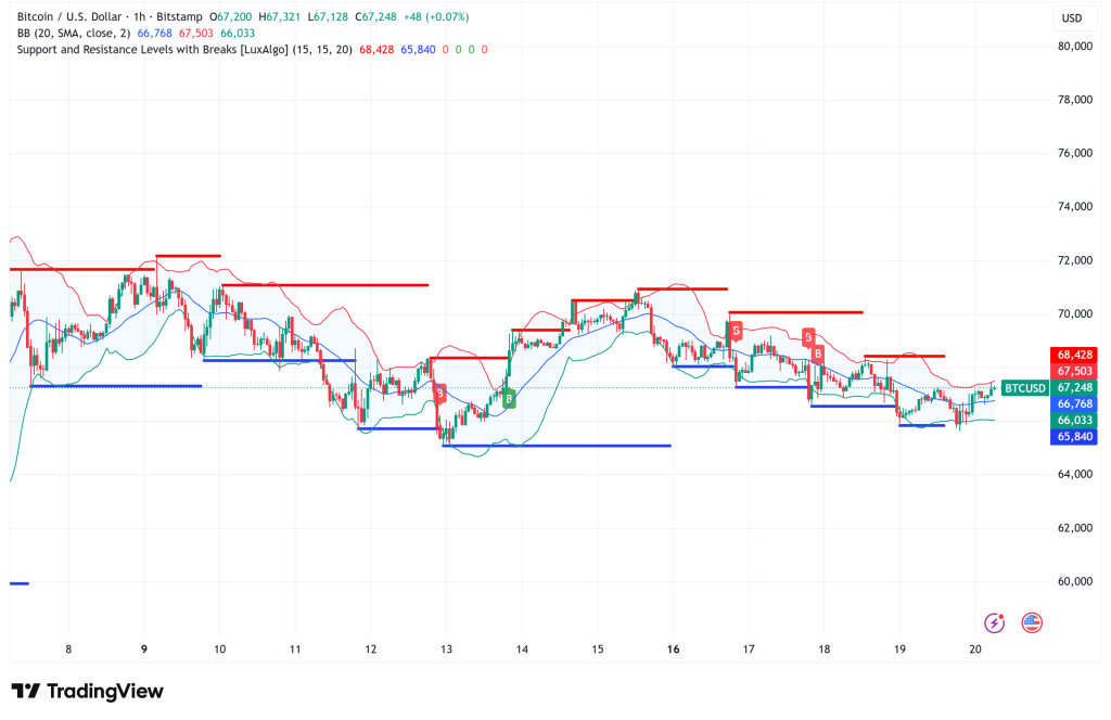 Bitcoin Holds $67K Amid Record Bollinger Band Compression and Growing Options Market Bearishness