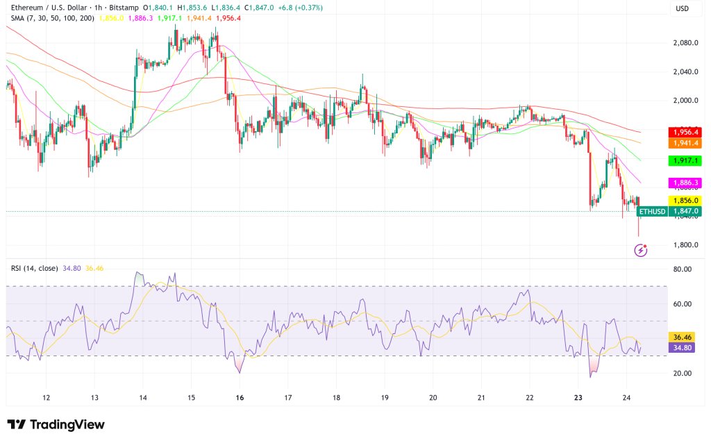 Ethereum Holds $1,800 as Bears Grip the Market, But On-Chain Whales Are Quietly Buying