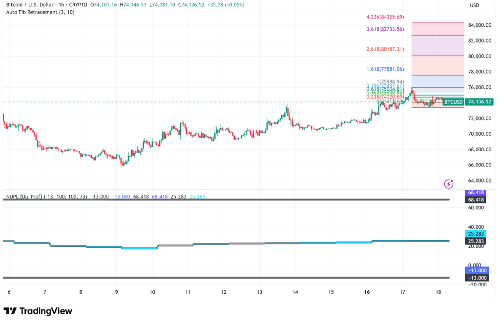 Bitcoin Holds Above $74K Amid Bear Market Doubts and Institutional Accumulation