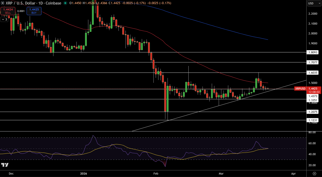 XRP/USD Price Chart - Source: Tradingview