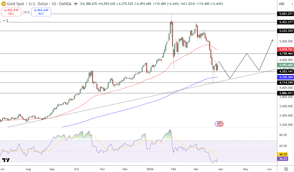 Gold Price Forecast - Souce: Tradingview