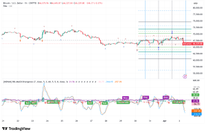 Bitcoin Slides to $66K as Iran War Rhetoric Fuels Oil Surge and Corporate Treasuries Crack