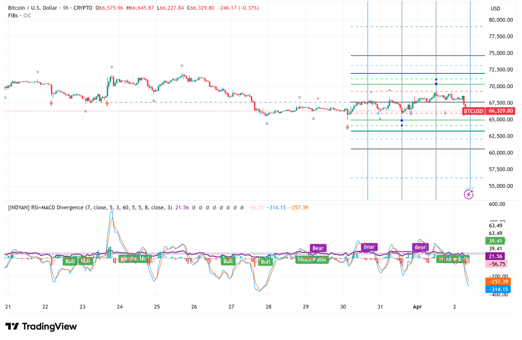 Bitcoin Slides to $66K as Iran War Rhetoric Fuels Oil Surge and Corporate Treasuries Crack