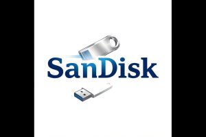 Sandisk may be a good investment say analysts as the company grew 250% already this year.