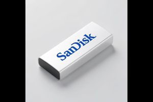 SanDisk Slides Toward Key Support Despite Kioxia Production Milestone
