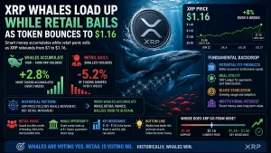 XRP Whales Load Up While Retail Bails as Token Bounces to $1.16