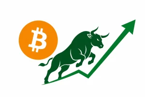BTC bull